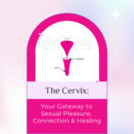 The Cervix: Your Gateway to Sexual Pleasure, Connection & Healing