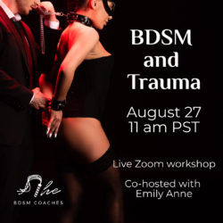 BDSM and trauma workshop