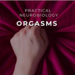 Practical Neurobiology Orgasms