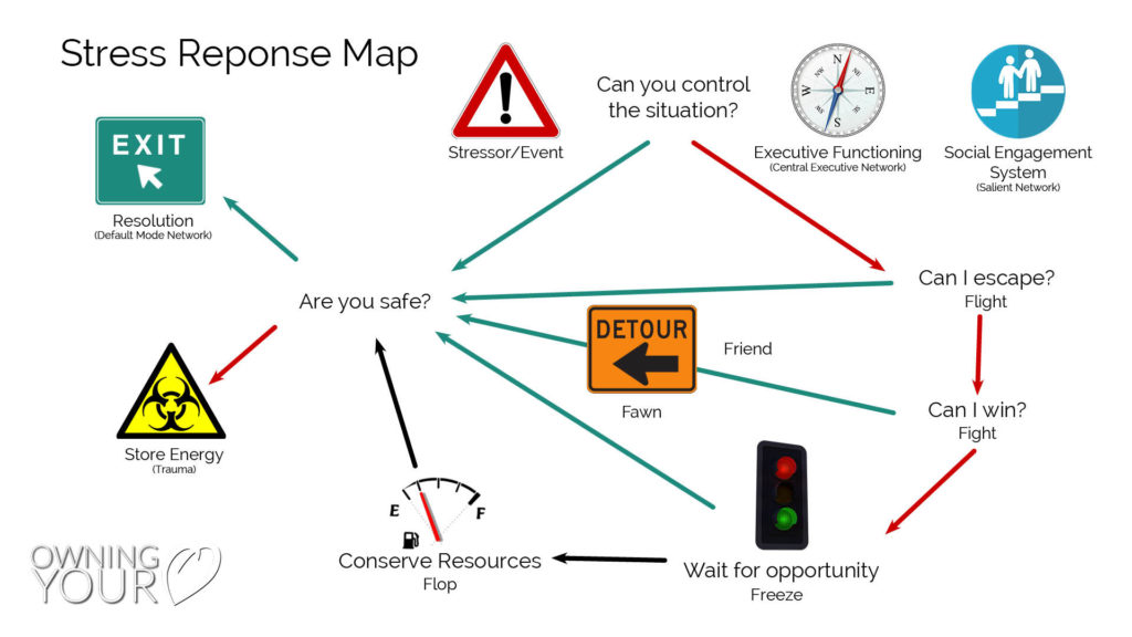 Stress-Response-Map
