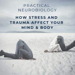 Practical Neurobiology: How stress and trauma affect your mind & body. Image depicts two men with their head in the sand.