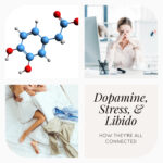 Dopamine, Stress, and Libido: How they're all connected