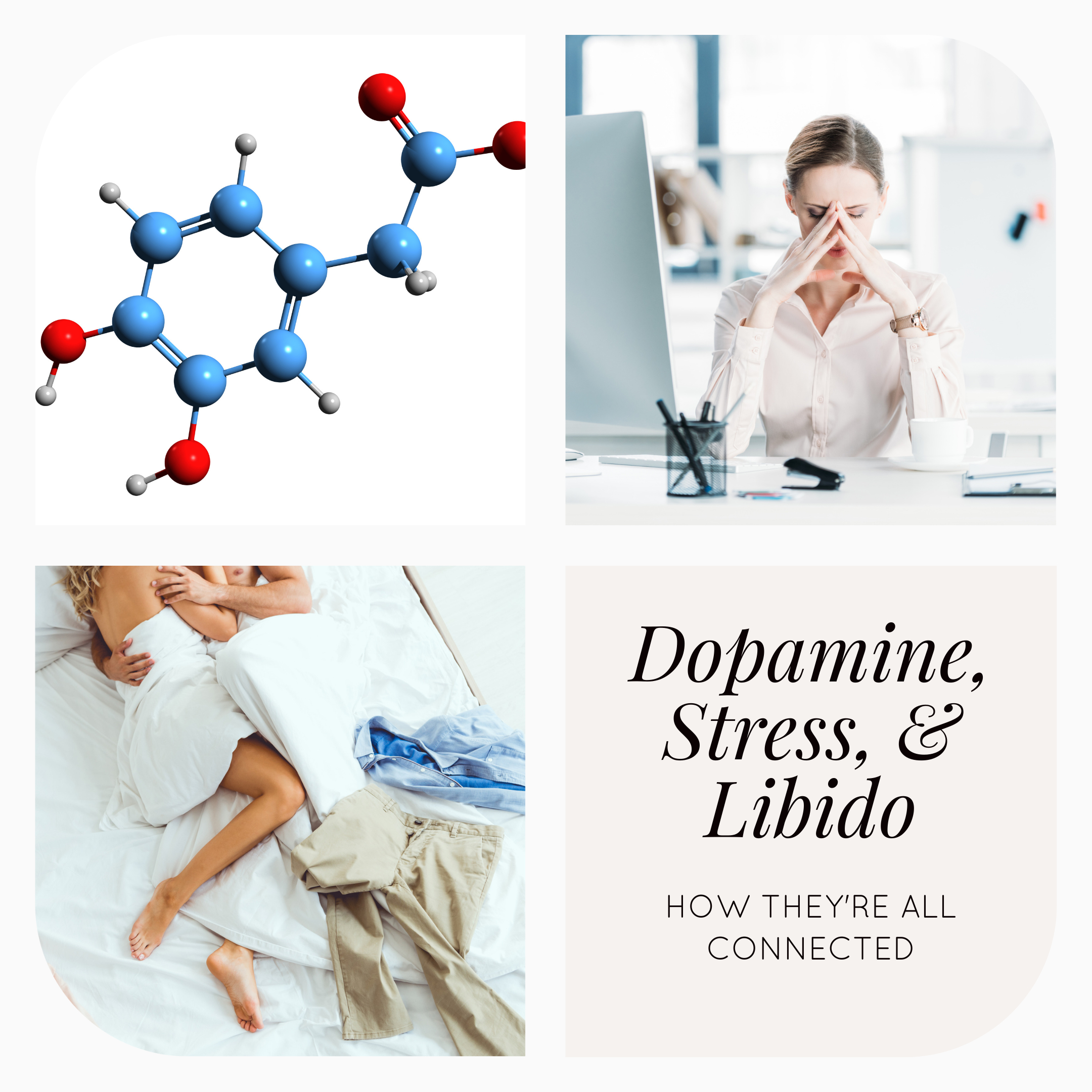 Dopamine, Stress, And Libido