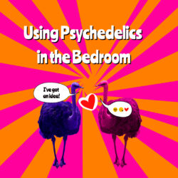 Using Psychedelics